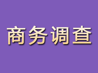 恩施商务调查